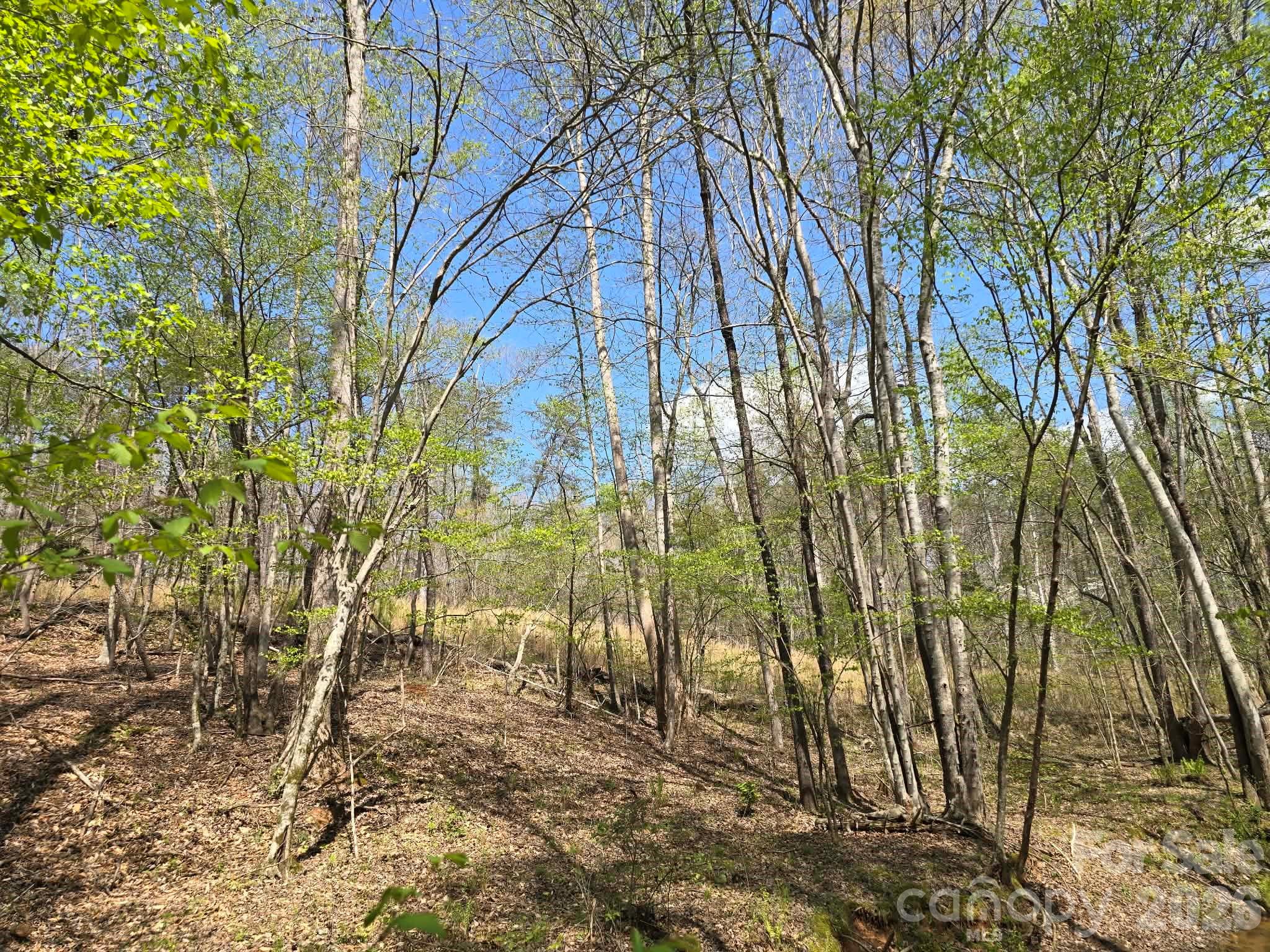 Lot 26 Grandview Drive Rutherfordton NC 28139