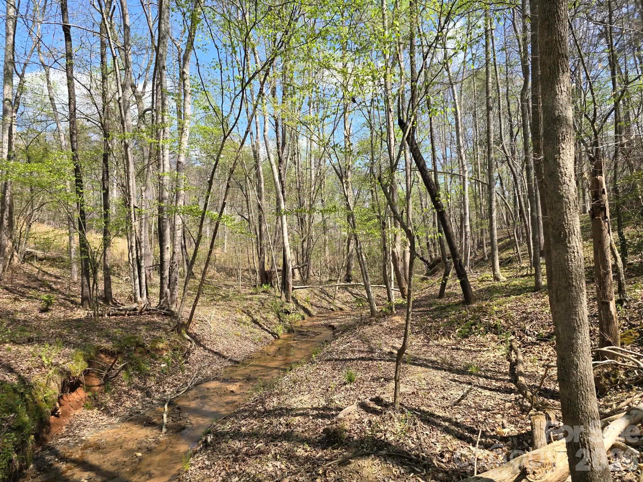 Lot 26 Grandview Drive Rutherfordton NC 28139