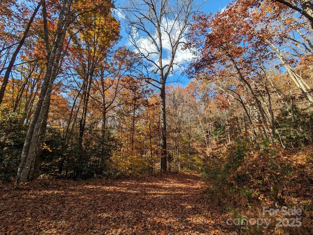 00 Sutton Branch Road Sylva NC 28779