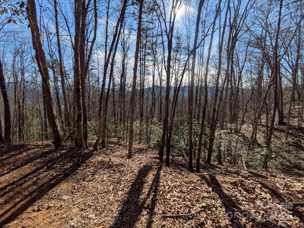 00 Sutton Branch Road Sylva NC 28779