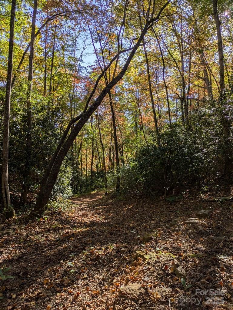 00 Sutton Branch Road Sylva NC 28779
