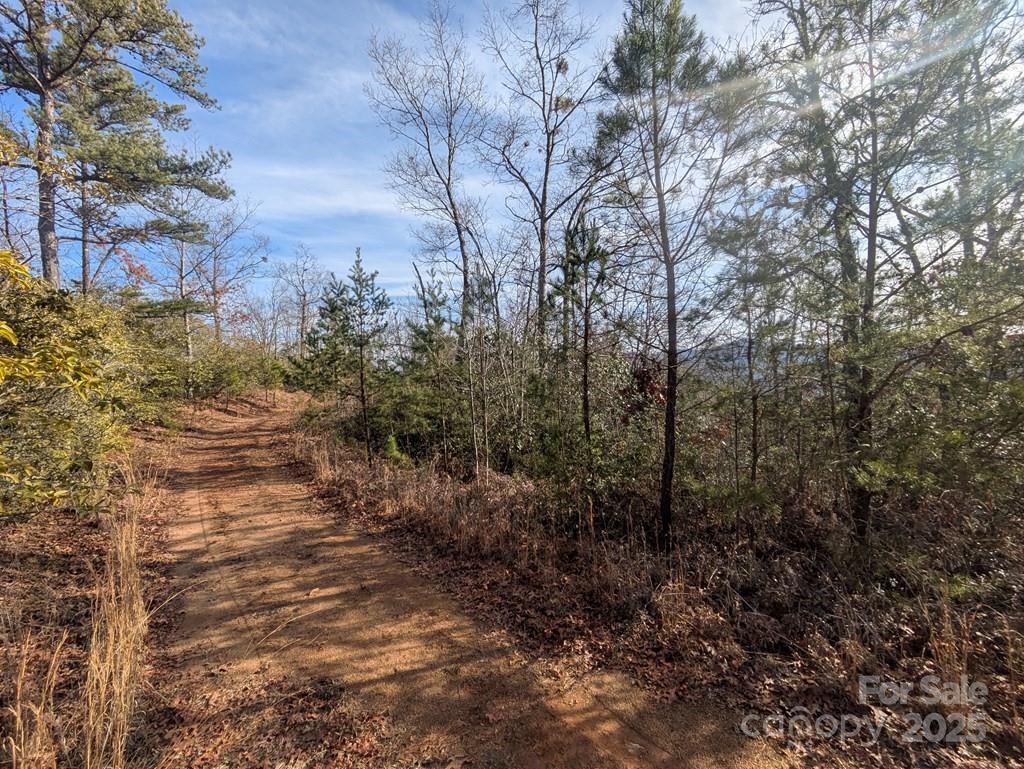 00 Sutton Branch Road Sylva NC 28779