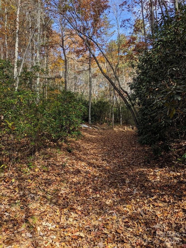 00 Sutton Branch Road Sylva NC 28779