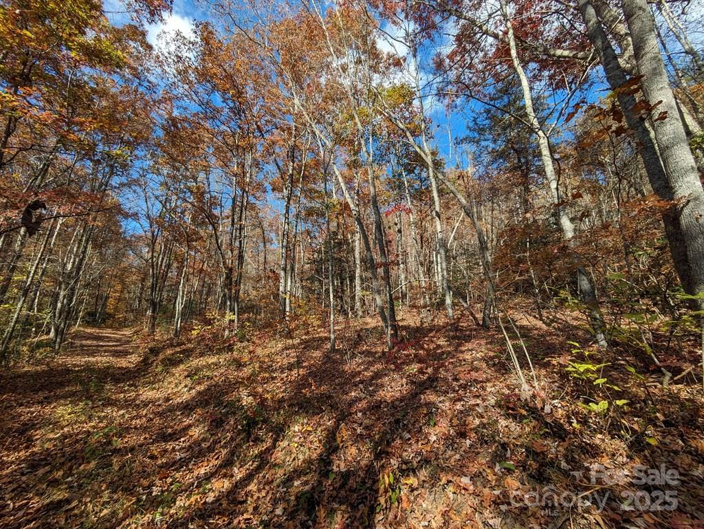 00 Sutton Branch Road Sylva NC 28779