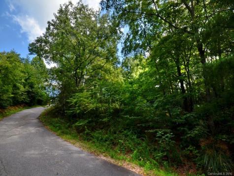 303 Allen Mountain Drive Black Mountain NC 28711