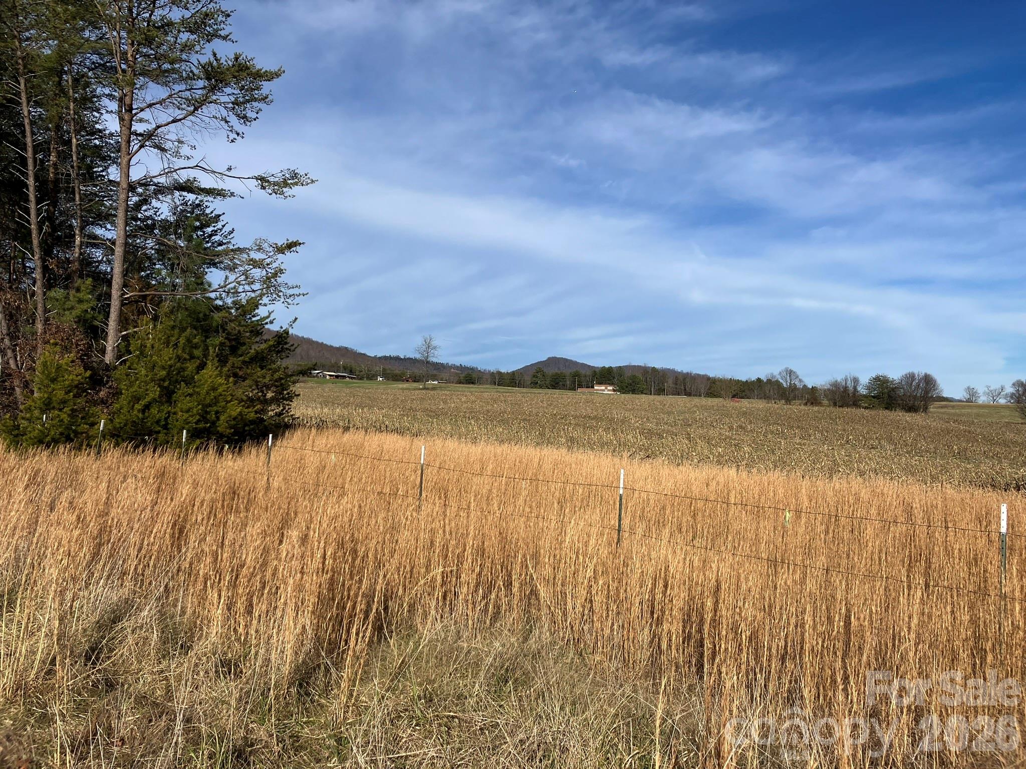 0 Dead End Road Bostic NC 28018