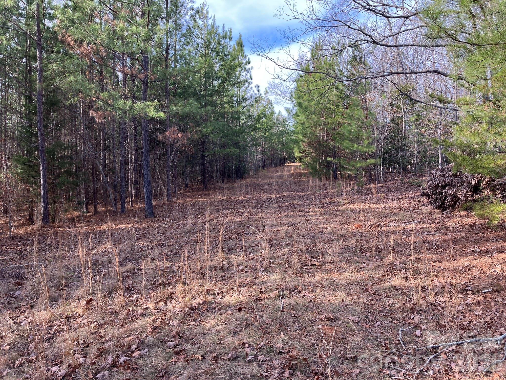 0 Dead End Road Bostic NC 28018