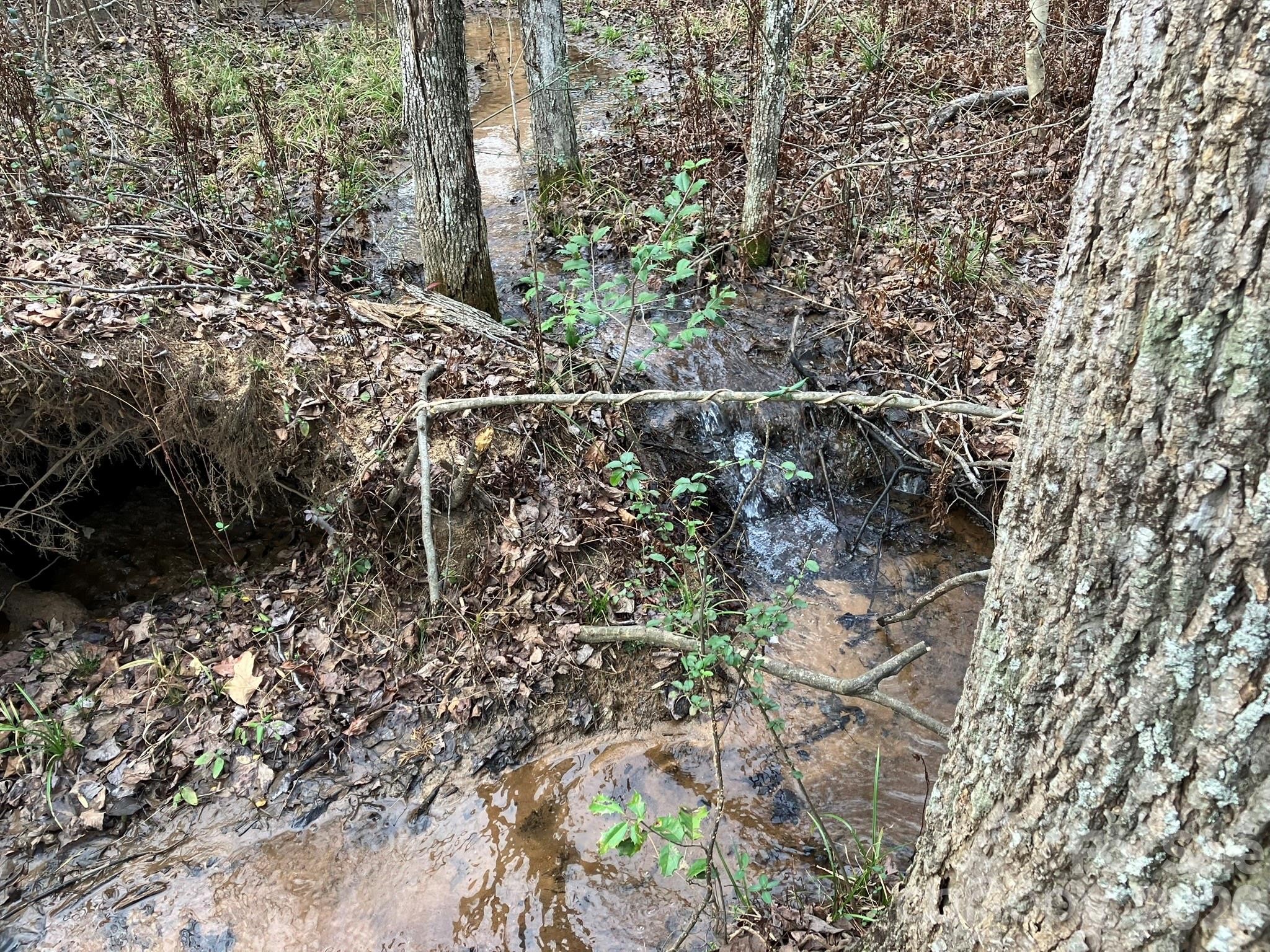 0 Dead End Road Bostic NC 28018