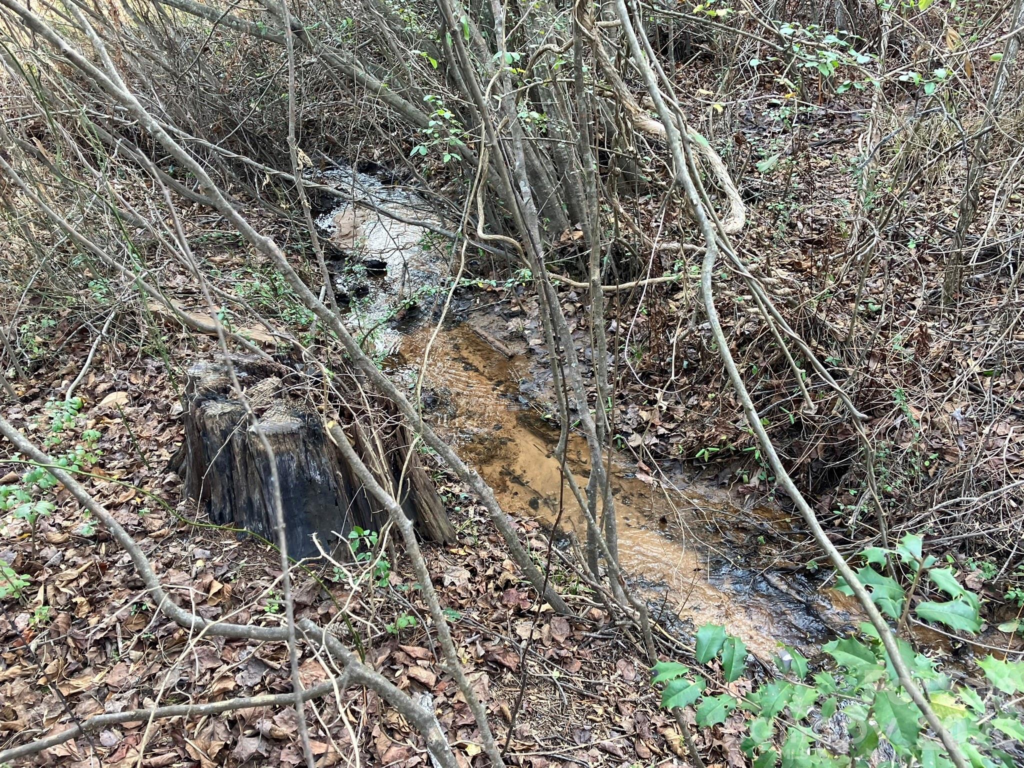 0 Dead End Road Bostic NC 28018