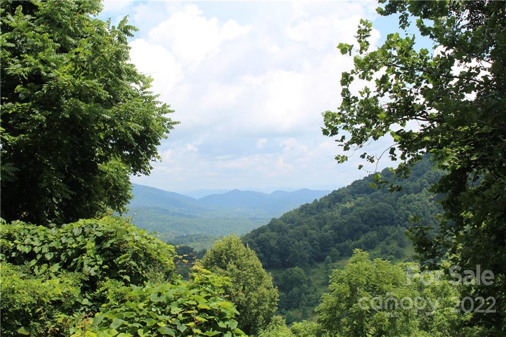 0000 Mailon King Road Leicester NC 28748