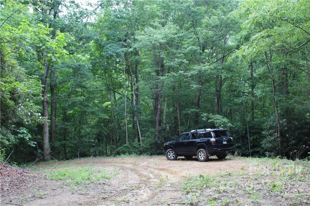 0000 Mailon King Road Leicester NC 28748