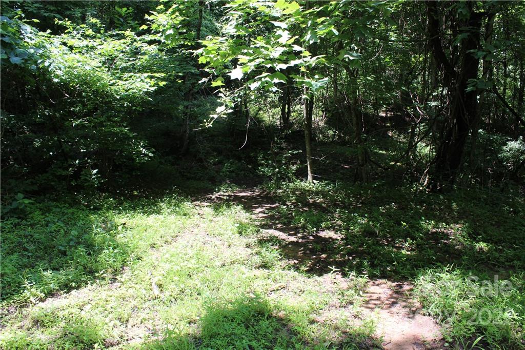 0000 Mailon King Road Leicester NC 28748