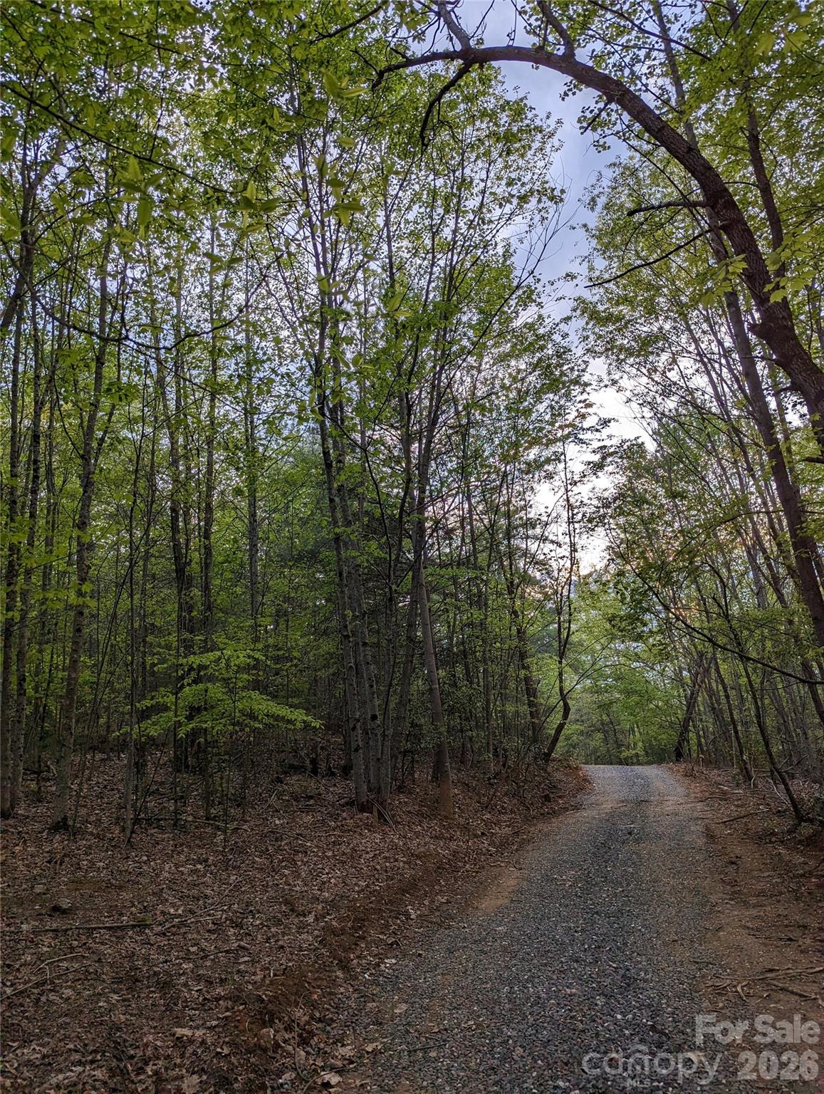 Tbd Taylorsville Road Granite Falls NC 28645