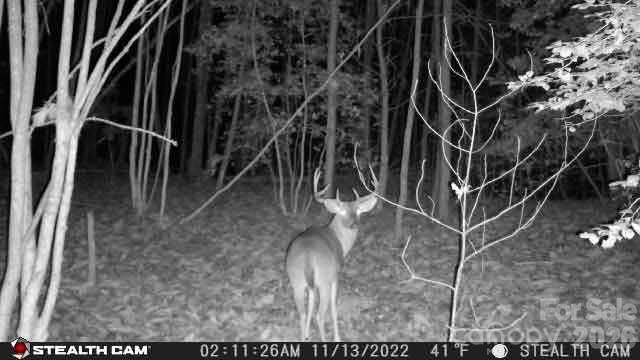 Tbd Taylorsville Road Granite Falls NC 28645