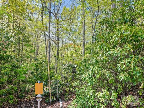 0 Piney Grove Road Franklin NC 28734