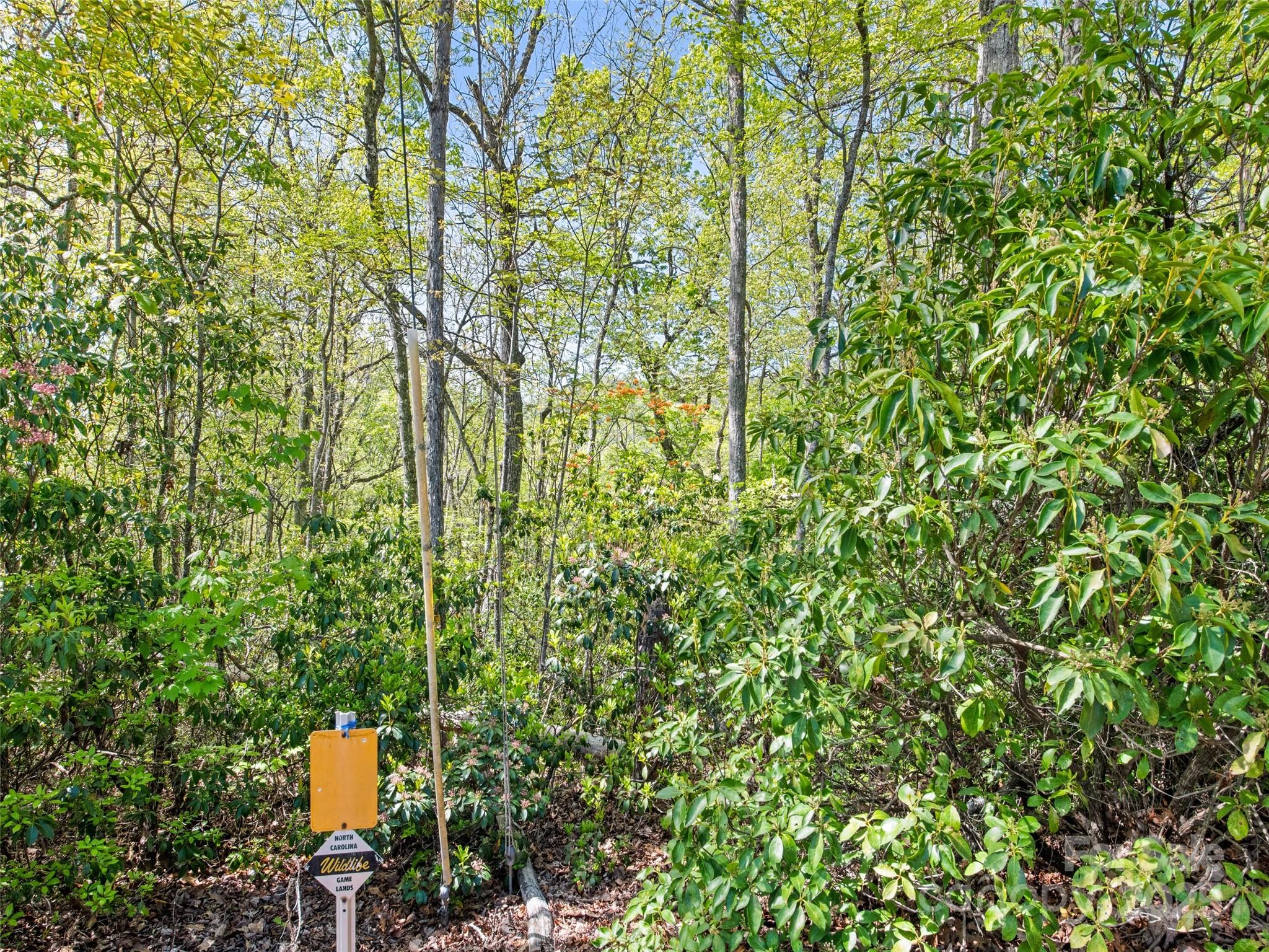 0 Piney Grove Road Franklin NC 28734
