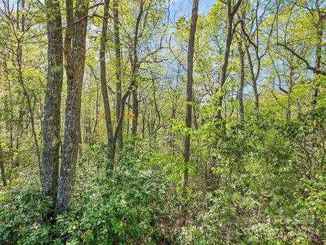 0 Piney Grove Road Franklin NC 28734