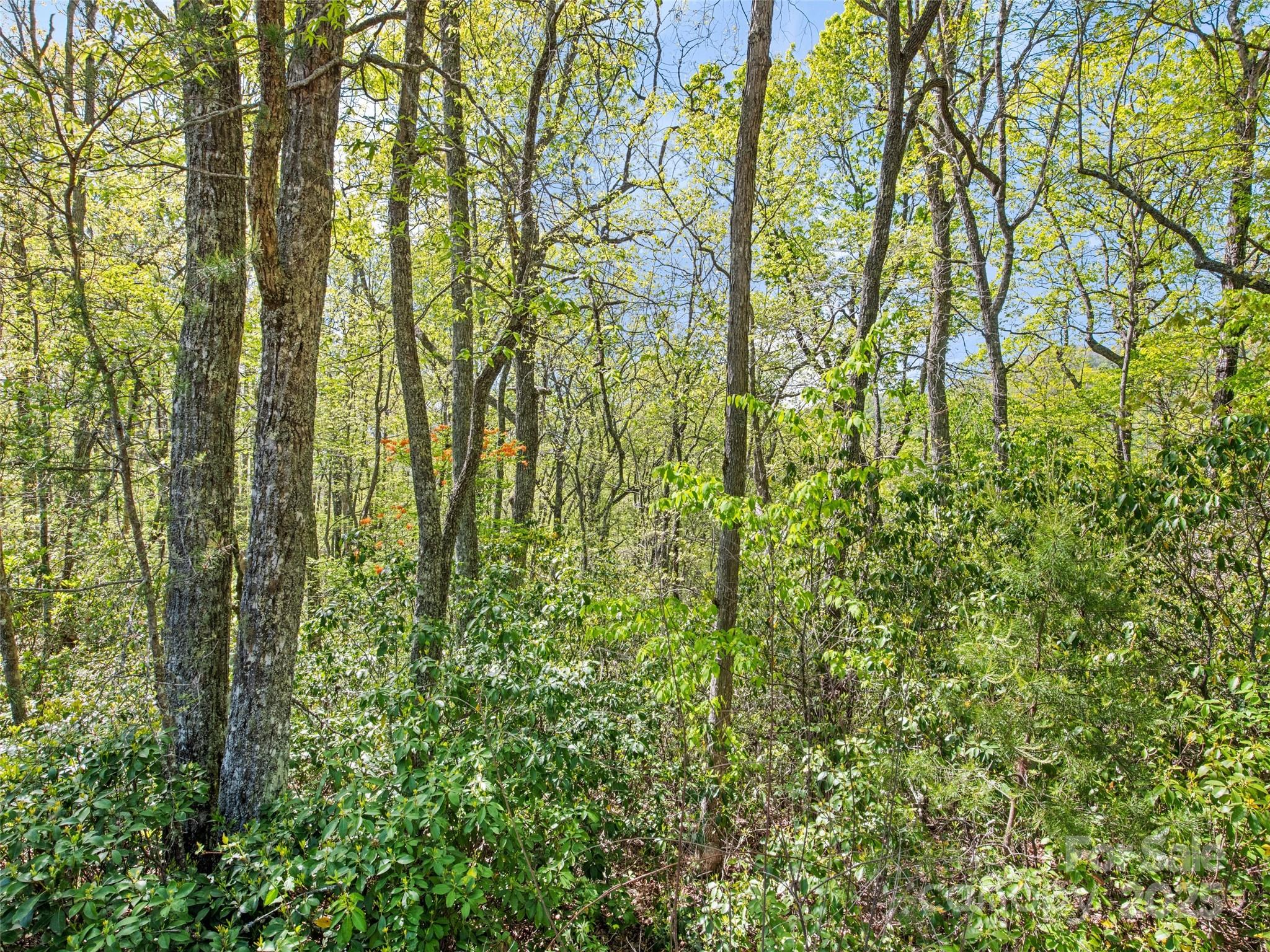 0 Piney Grove Road Franklin NC 28734