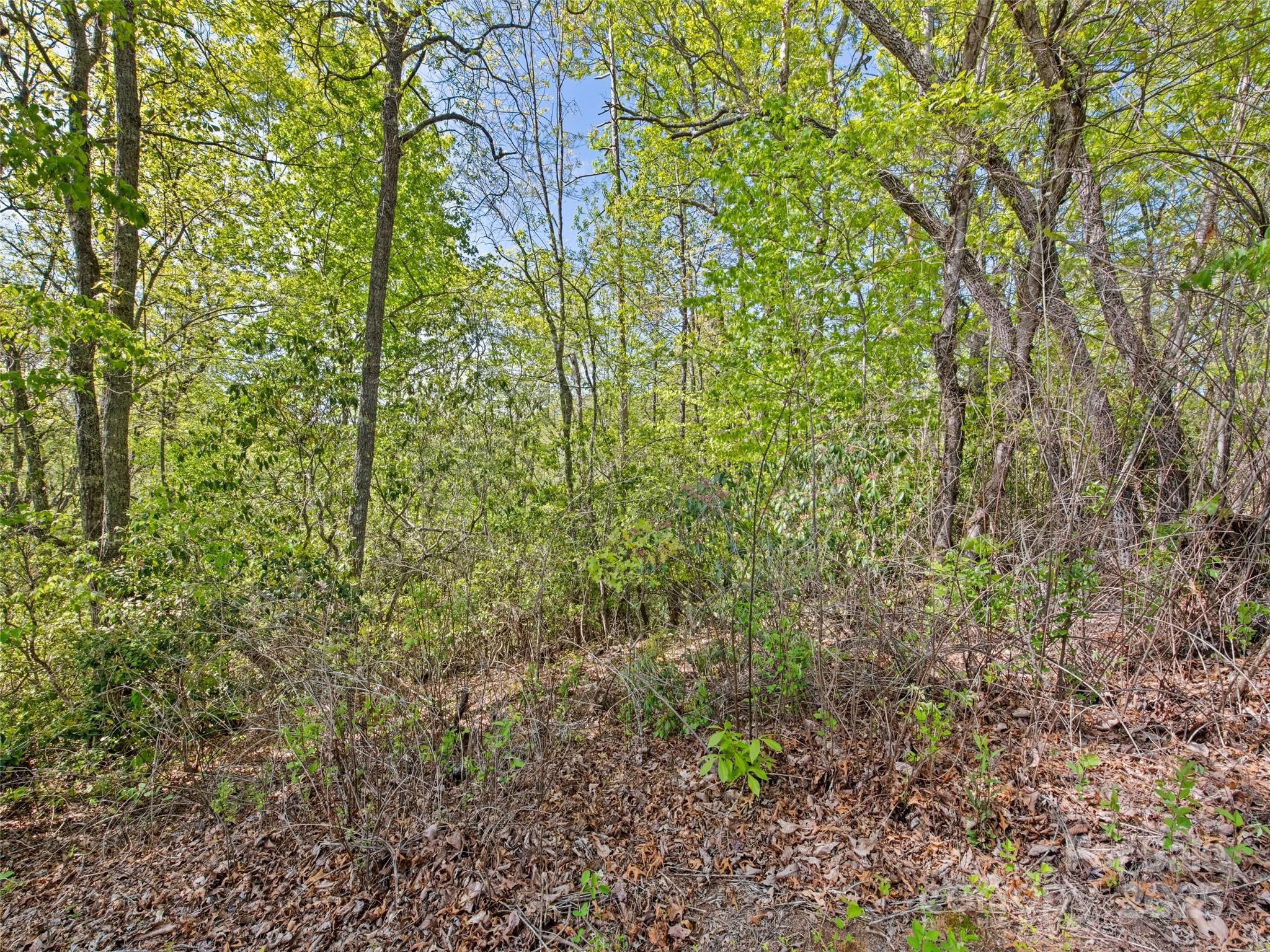 0 Piney Grove Road Franklin NC 28734
