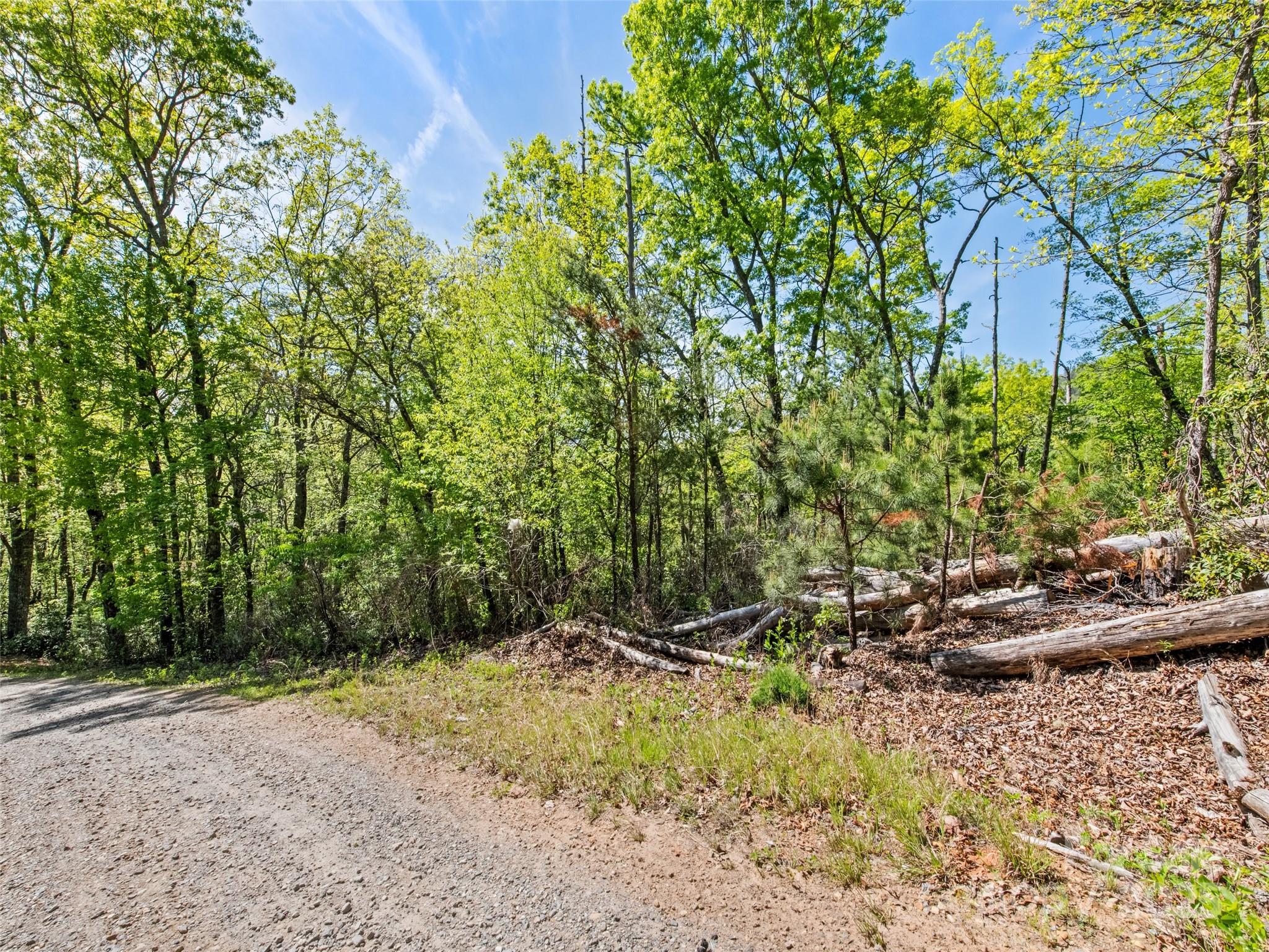 0 Piney Grove Road Franklin NC 28734