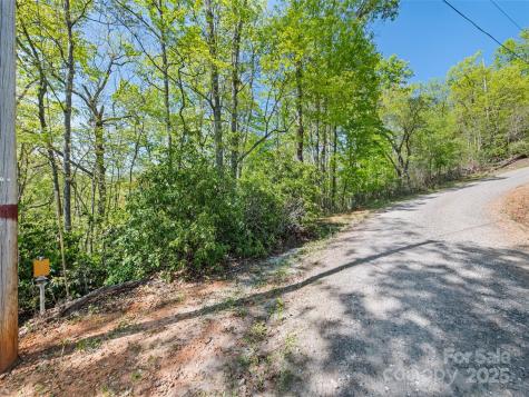 0 Piney Grove Road Franklin NC 28734