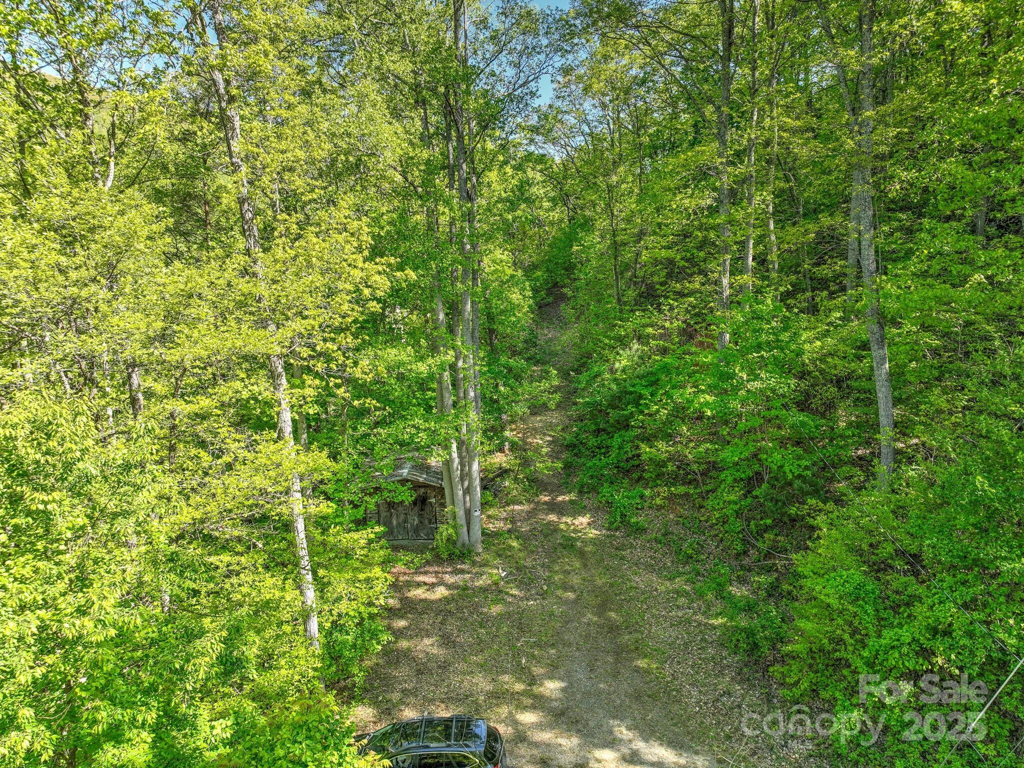 99999 Bull Creek Road Asheville NC 28805