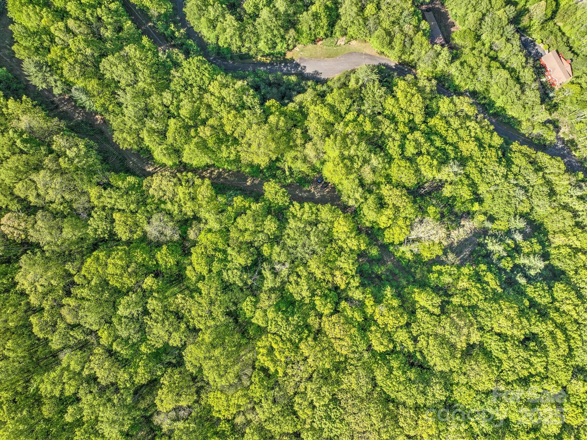 99999 Bull Creek Road Asheville NC 28805