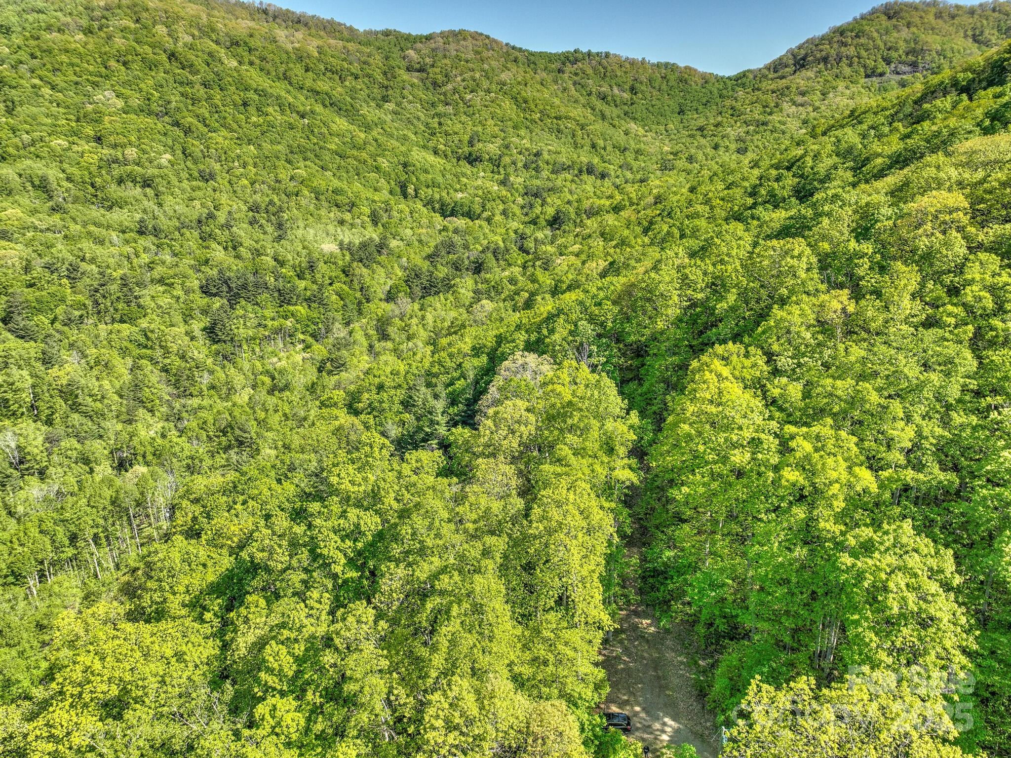 99999 Bull Creek Road Asheville NC 28805
