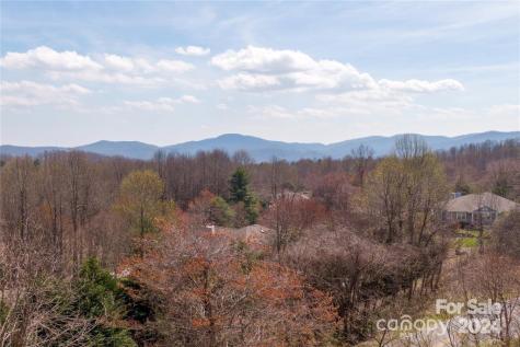 000 Berry Creek Drive Flat Rock NC 28731