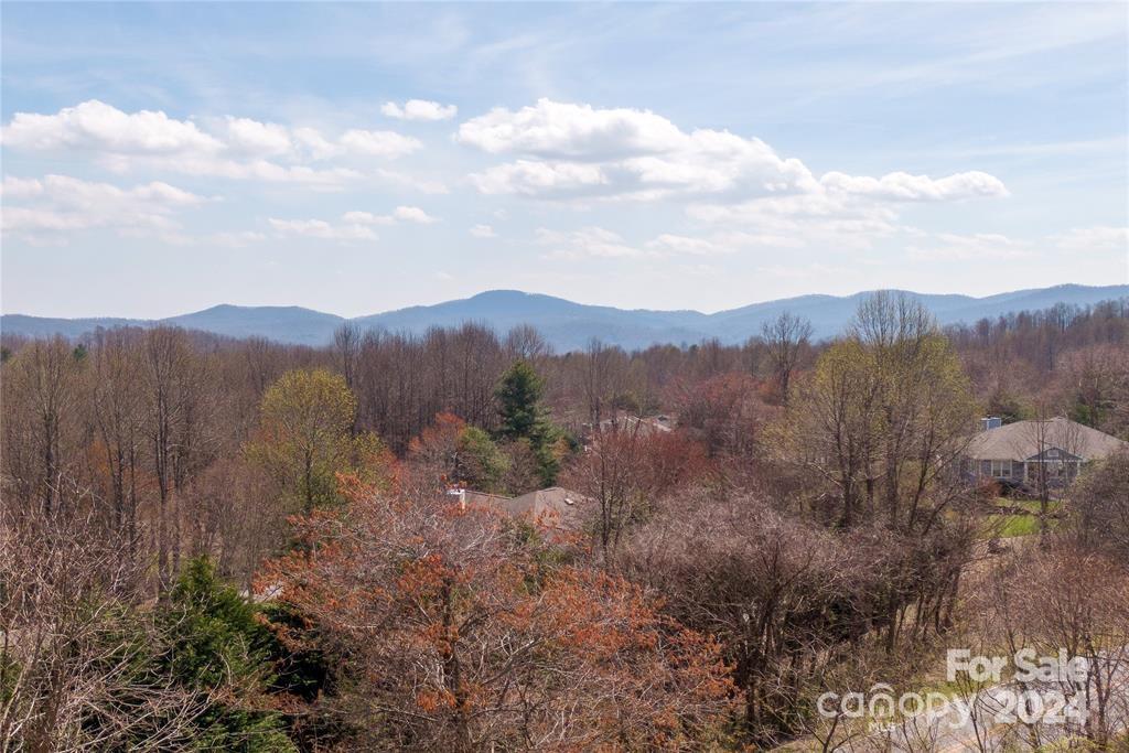 000 Berry Creek Drive Flat Rock NC 28731