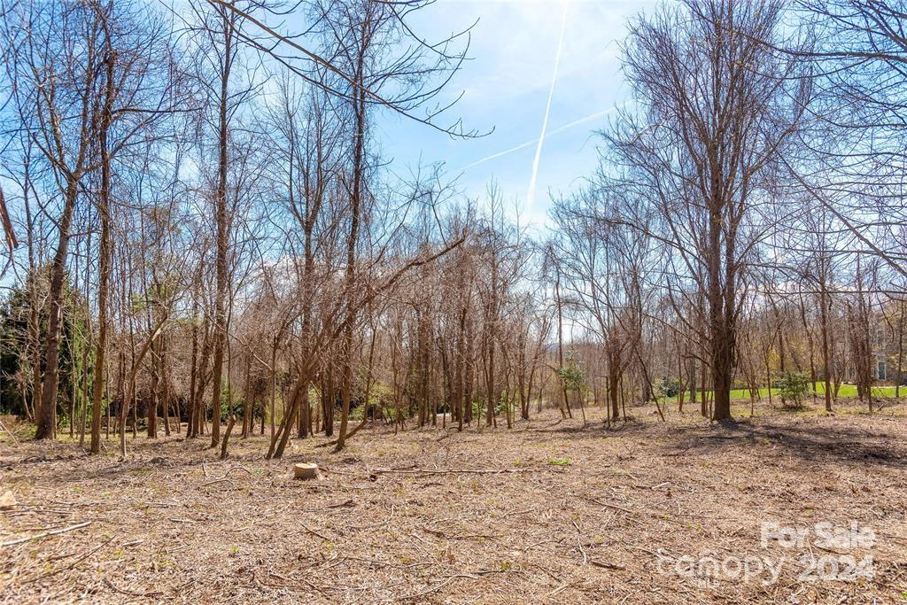 000 Berry Creek Drive Flat Rock NC 28731