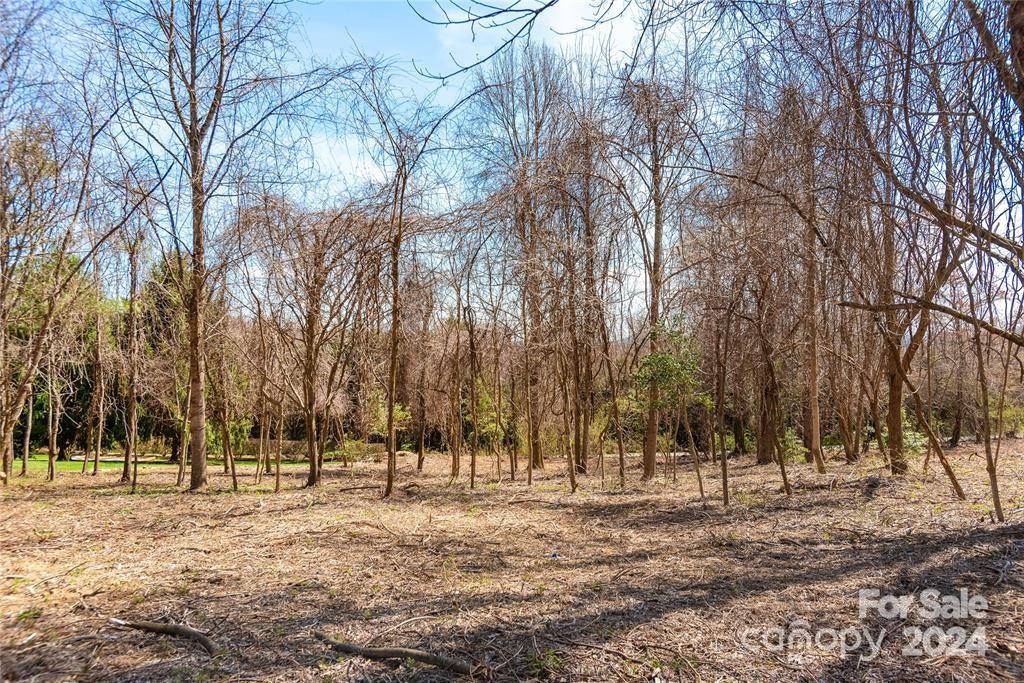 000 Berry Creek Drive Flat Rock NC 28731