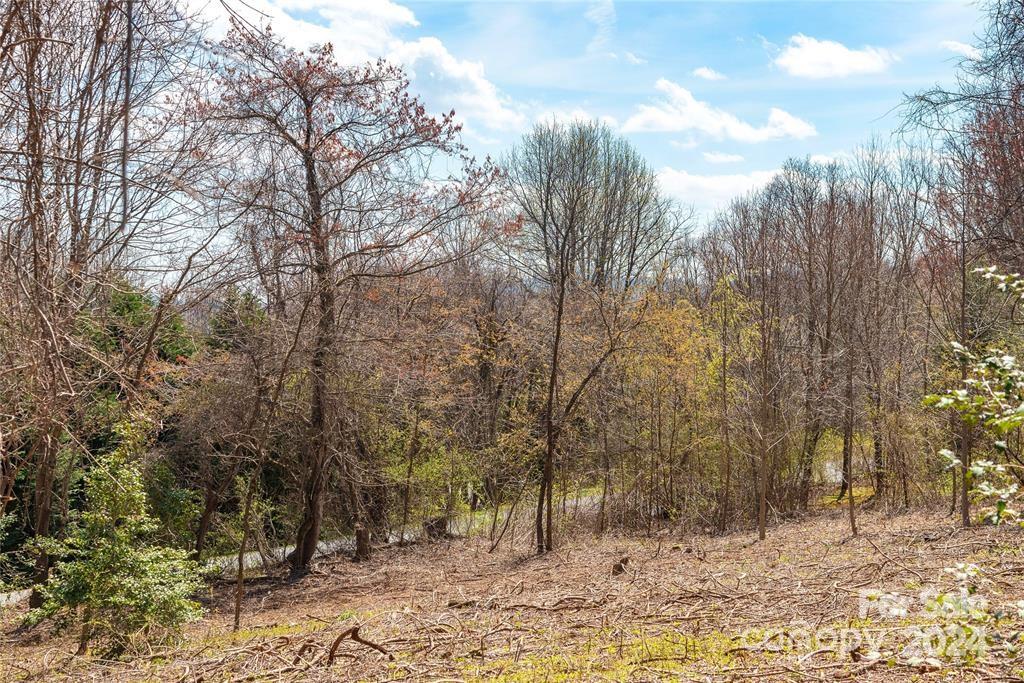 000 Berry Creek Drive Flat Rock NC 28731