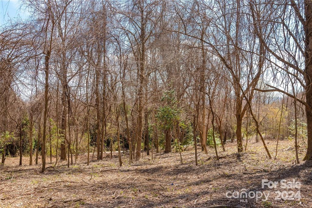 000 Berry Creek Drive Flat Rock NC 28731