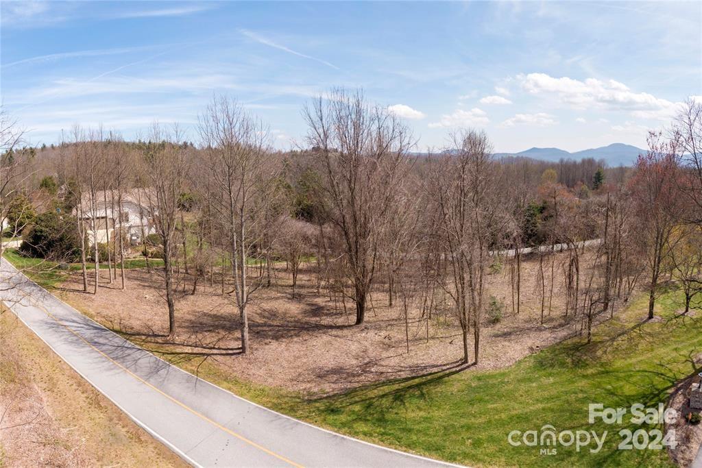 000 Berry Creek Drive Flat Rock NC 28731