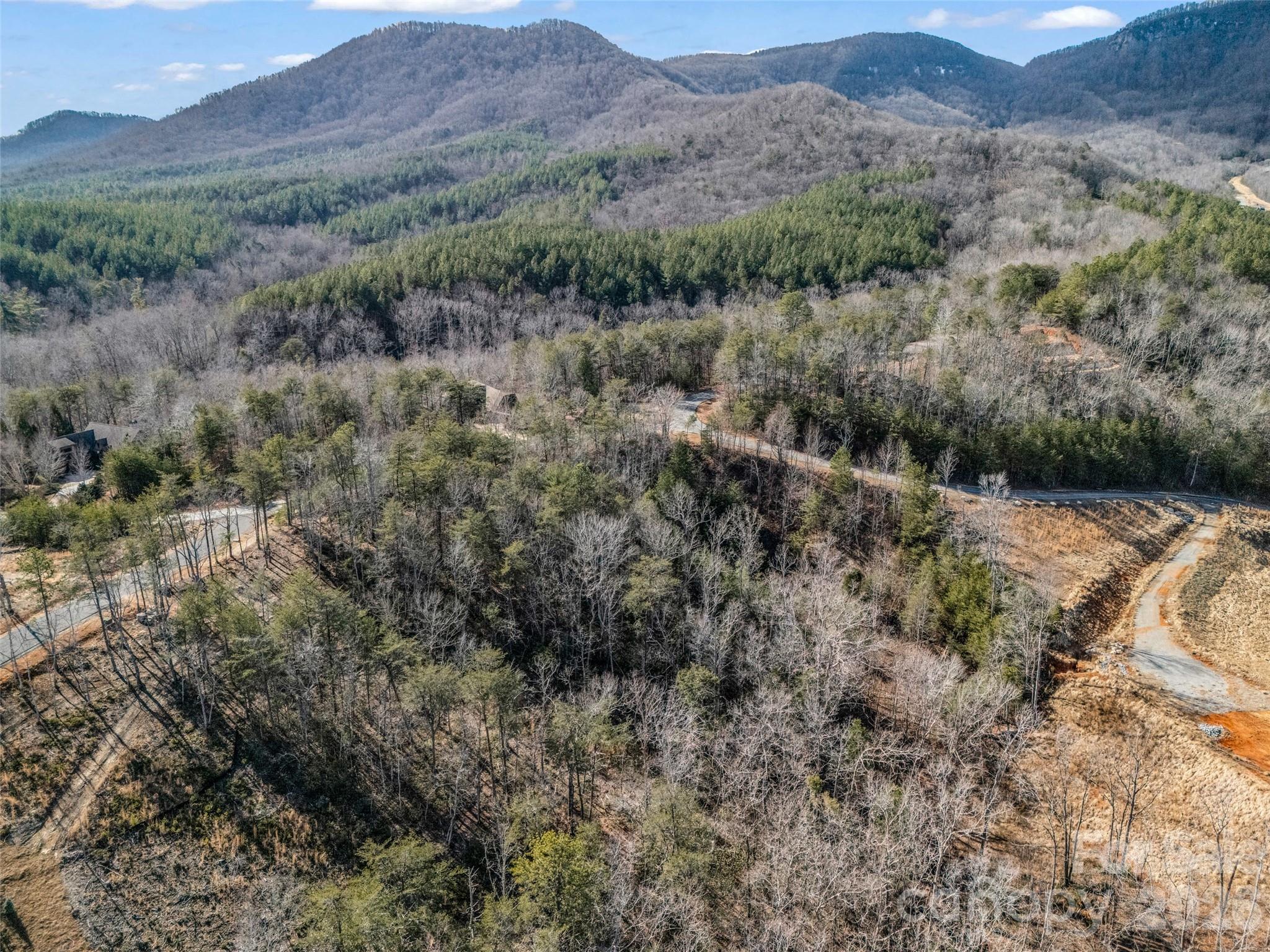 2002 Deep Gap Farm Road E Mill Spring NC 28756