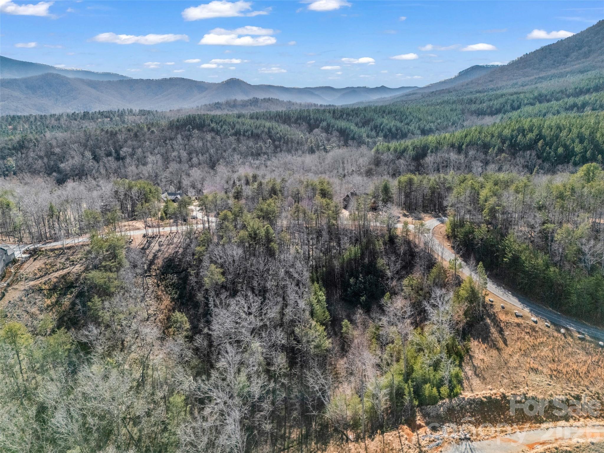 2002 Deep Gap Farm Road E Mill Spring NC 28756