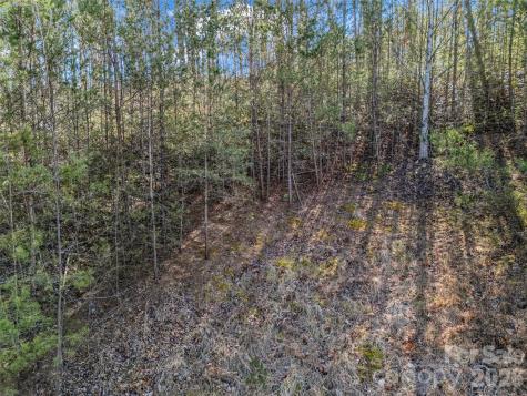 2002 Deep Gap Farm Road E Mill Spring NC 28756