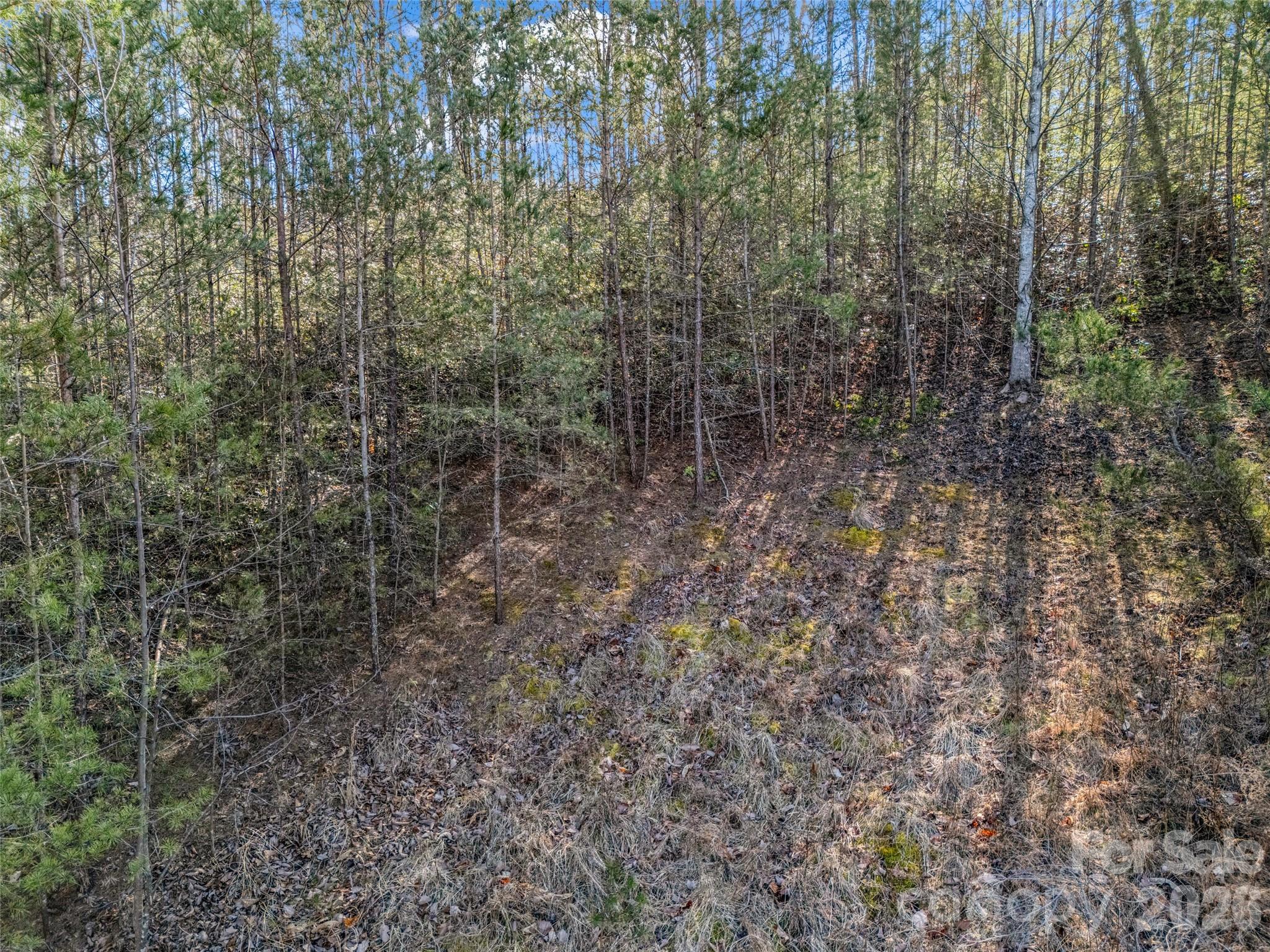 2002 Deep Gap Farm Road E Mill Spring NC 28756