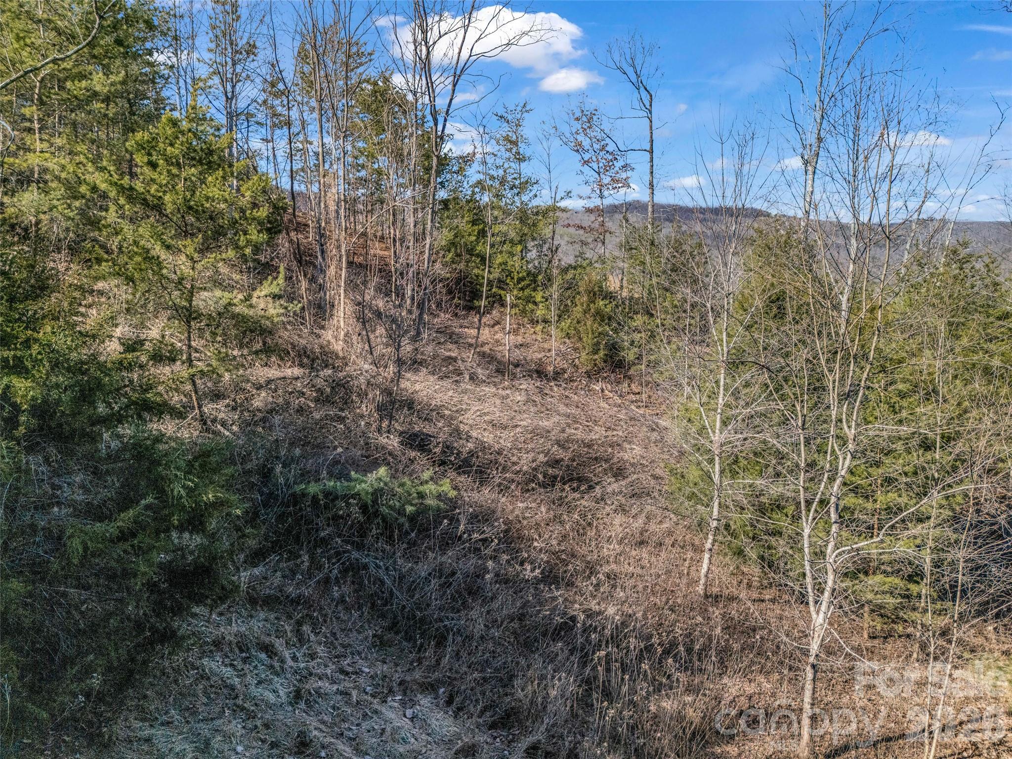 2002 Deep Gap Farm Road E Mill Spring NC 28756