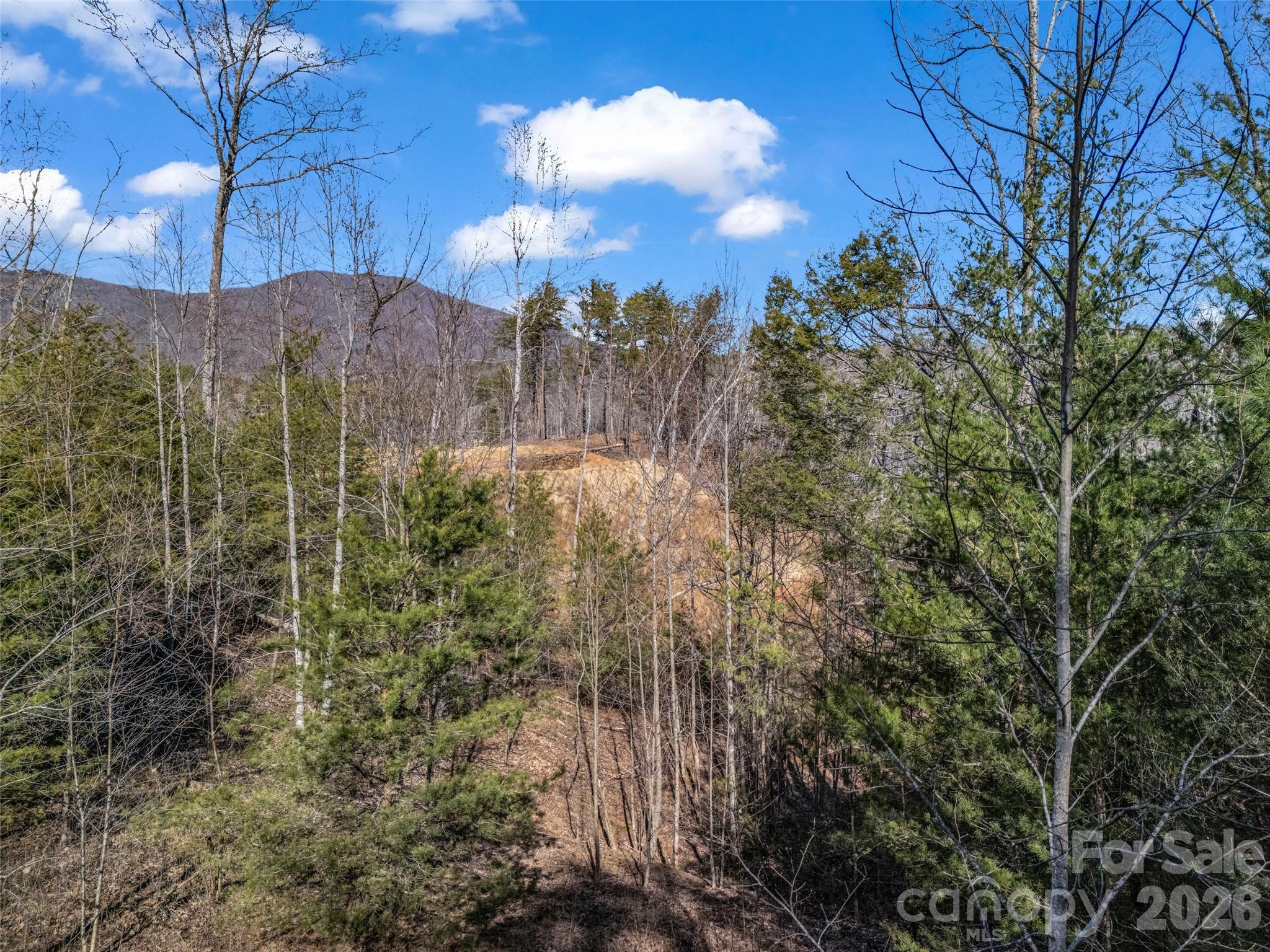 2002 Deep Gap Farm Road E Mill Spring NC 28756