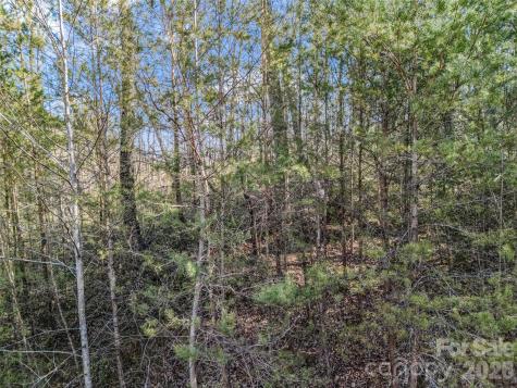 2002 Deep Gap Farm Road E Mill Spring NC 28756