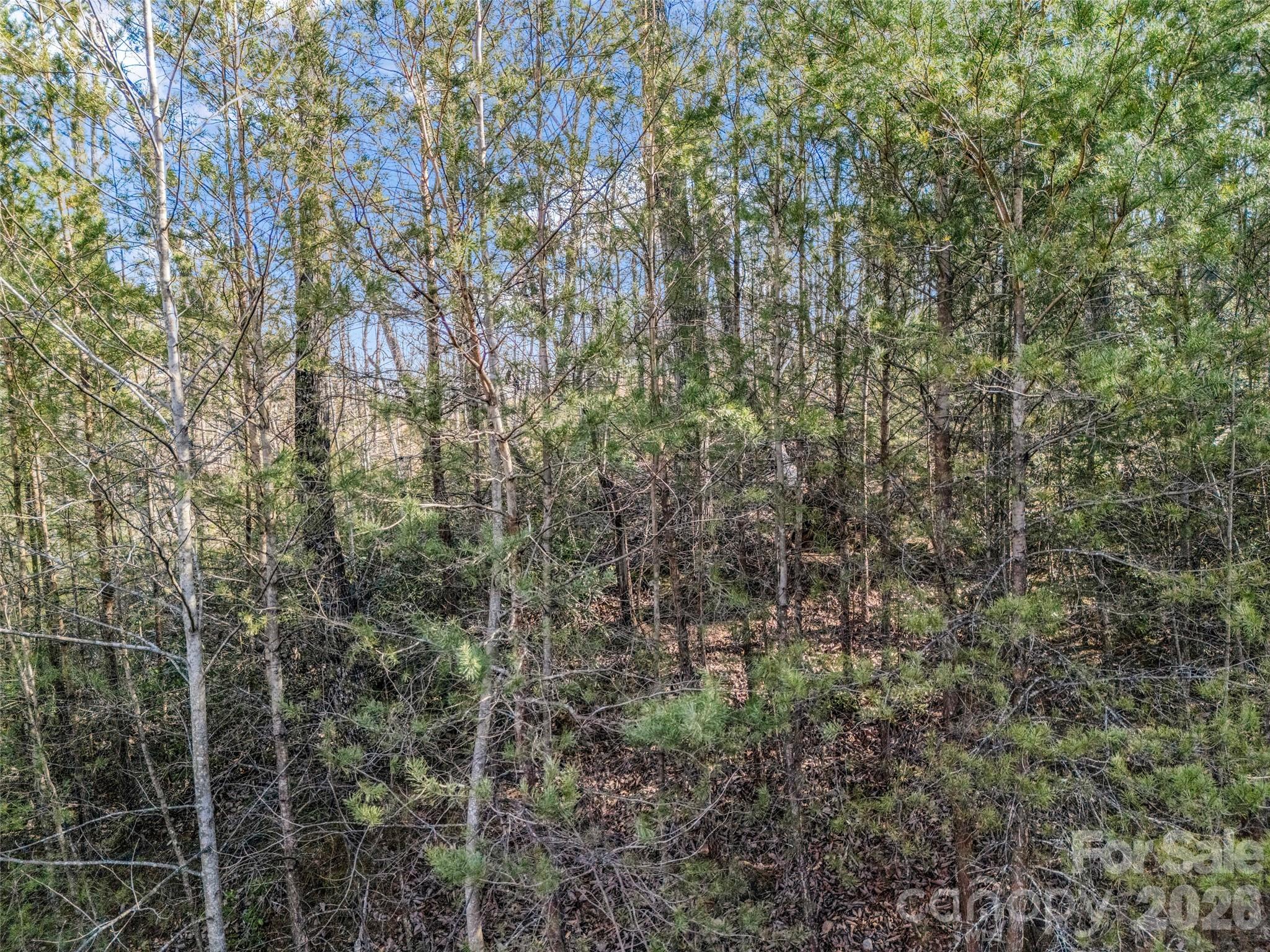 2002 Deep Gap Farm Road E Mill Spring NC 28756