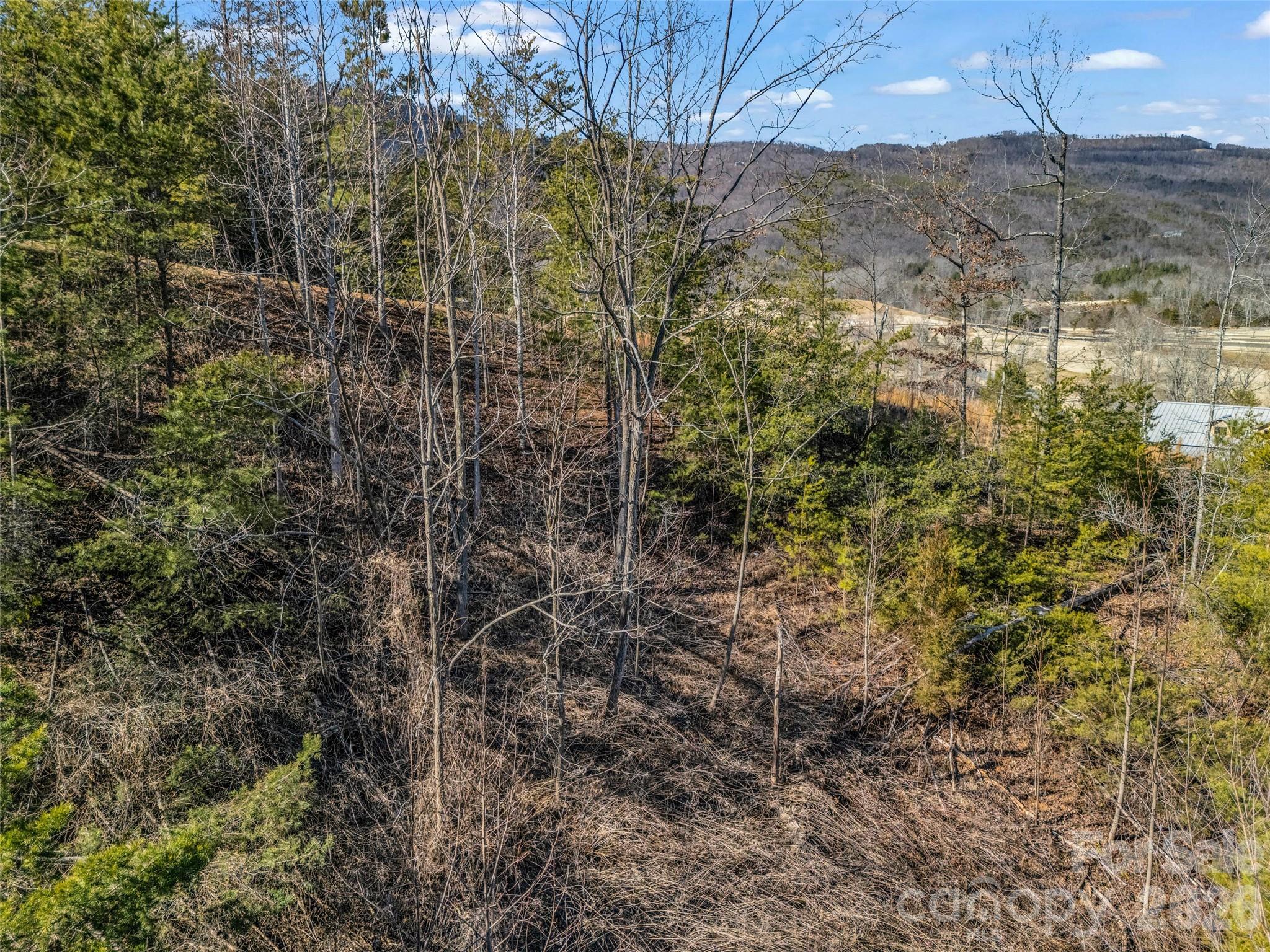 2002 Deep Gap Farm Road E Mill Spring NC 28756