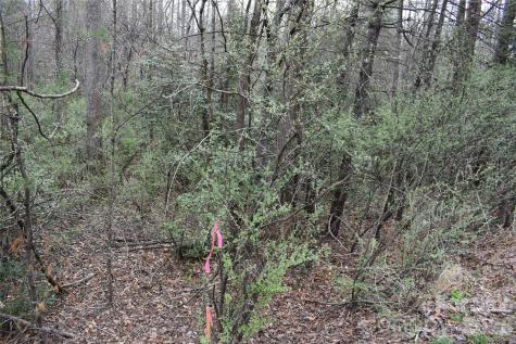 000 Fox Road Old Fort NC 28762