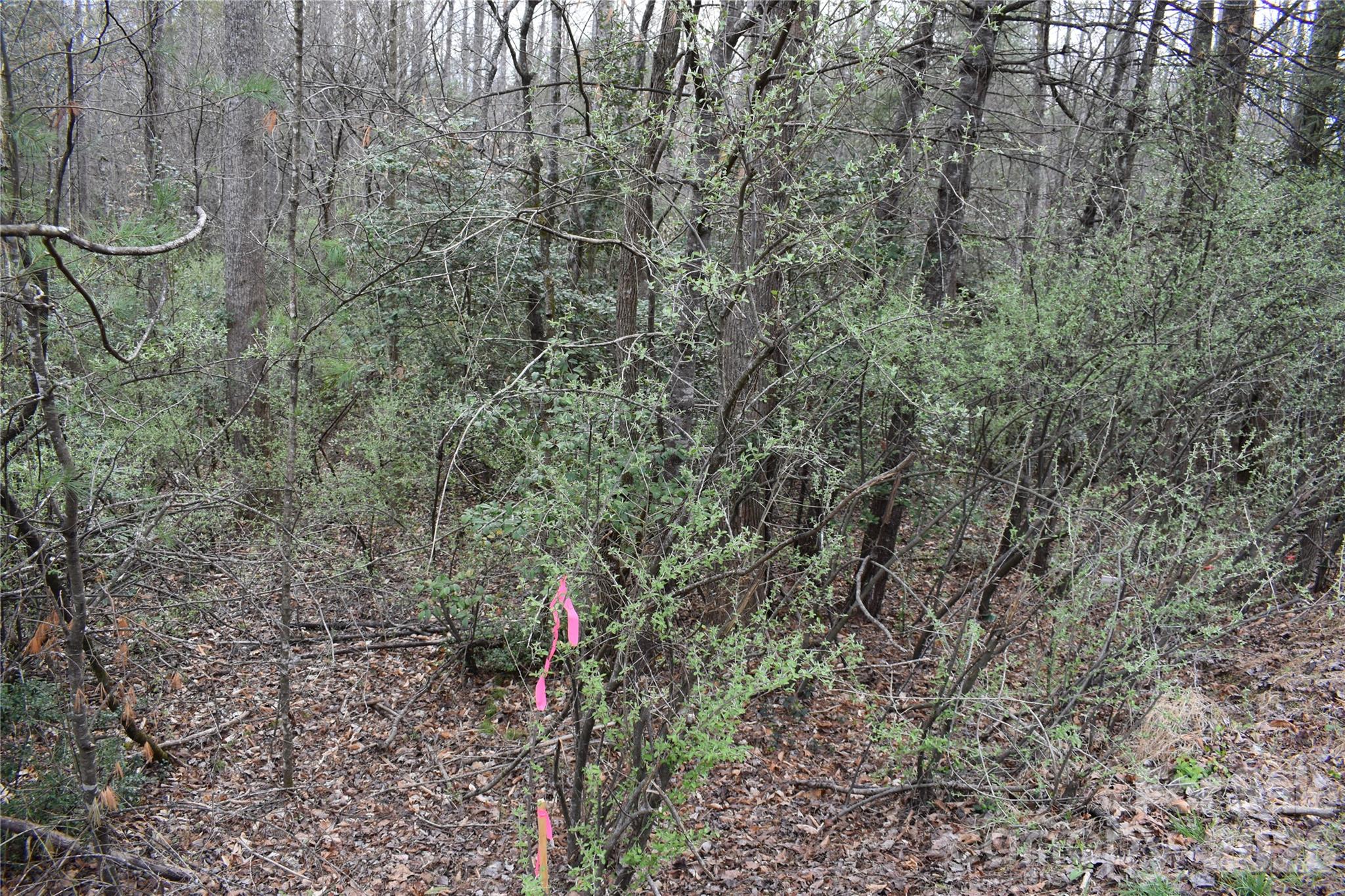 000 Fox Road Old Fort NC 28762