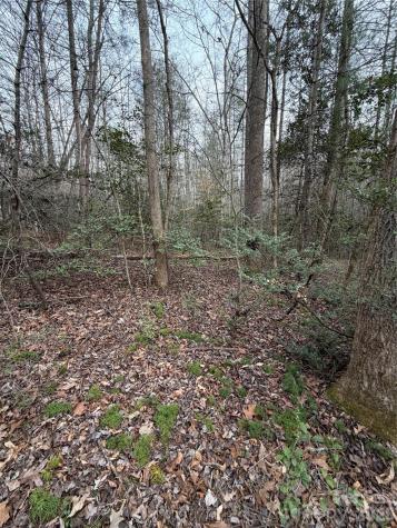 000 Fox Road Old Fort NC 28762