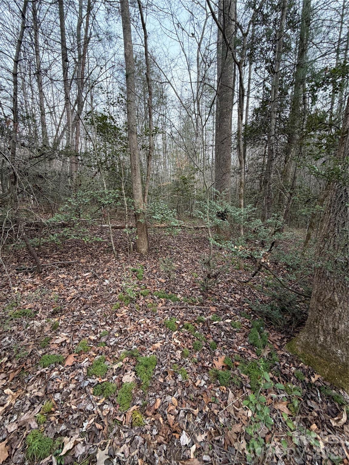 000 Fox Road Old Fort NC 28762