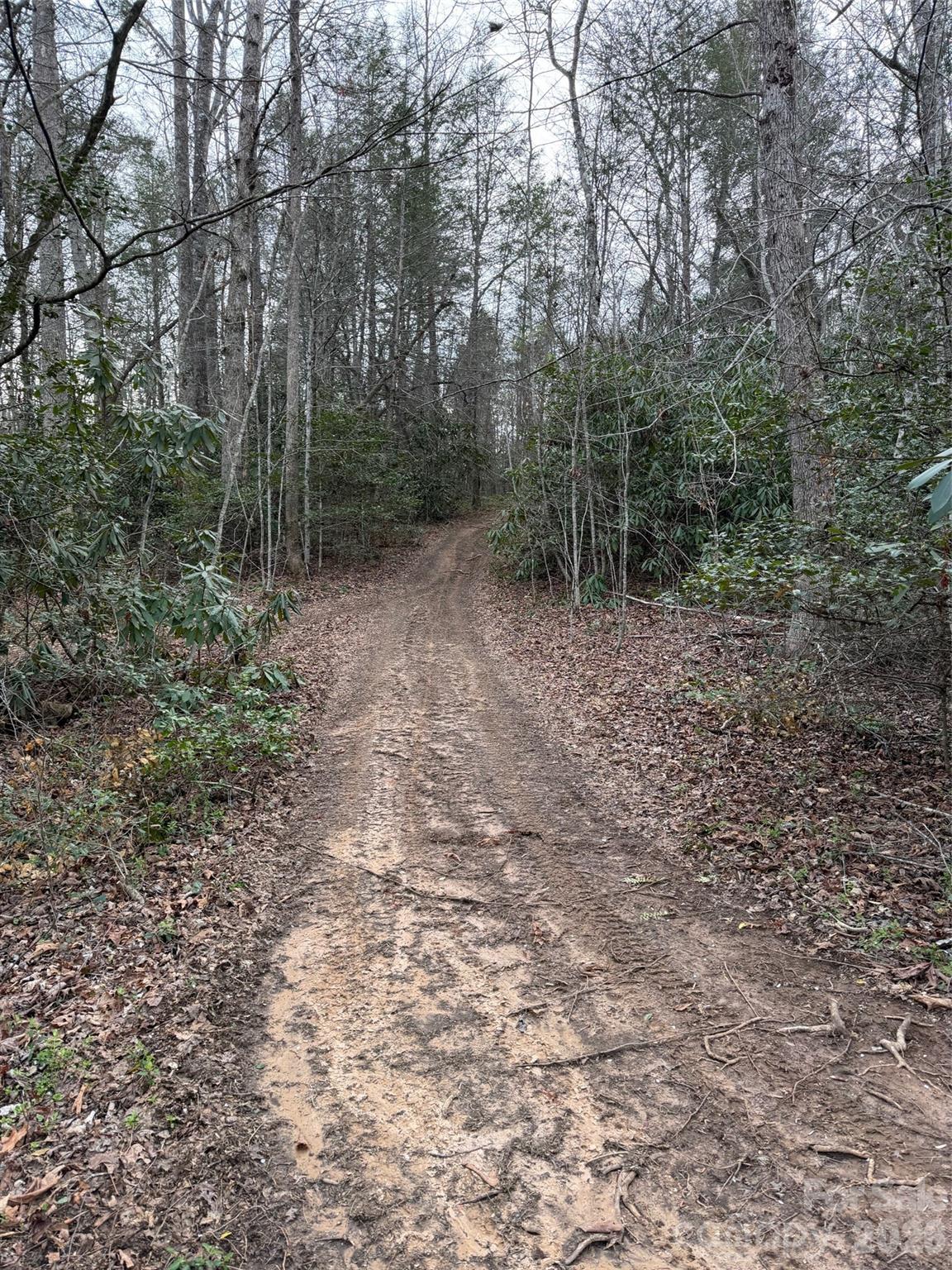 000 Fox Road Old Fort NC 28762