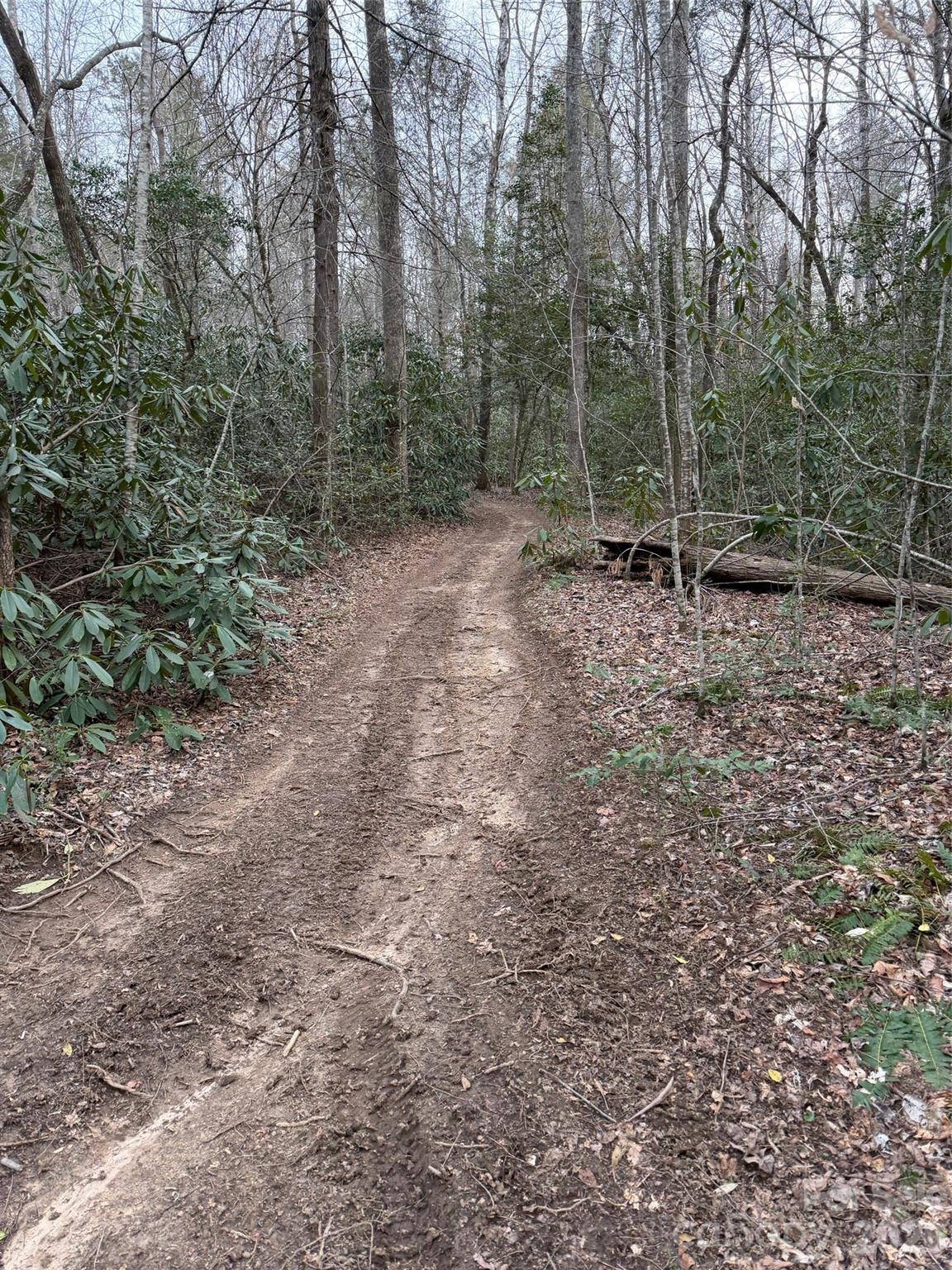 000 Fox Road Old Fort NC 28762